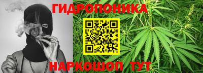 гидра Кимры