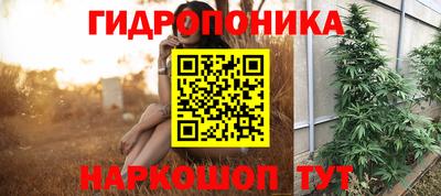 каннабис Кингисепп
